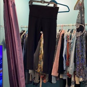 Black HR wunder under crop